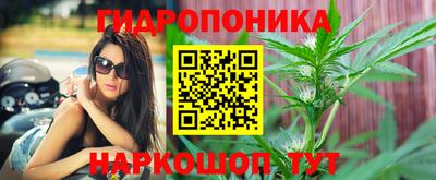 спиды Вышний Волочёк