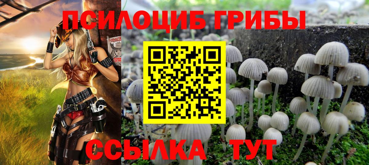 Галлюциногенные грибы Cubensis Сегежа