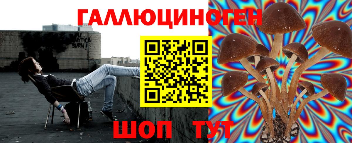 Сегежа  Галлюциногенные грибы Psilocybe  Вход с VPN 